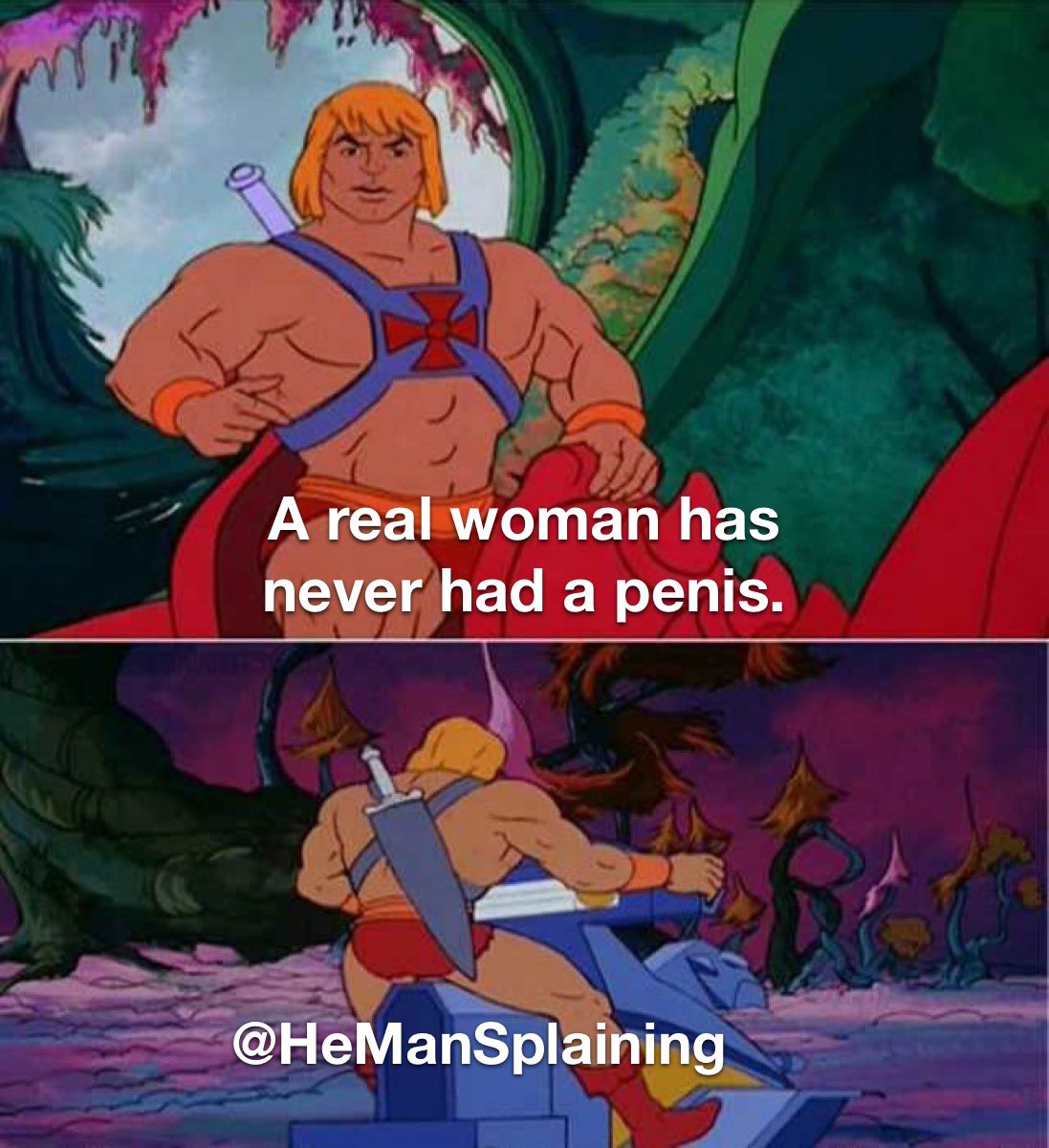 HeManSplaining's tweet image. @HeManSplaining real women.