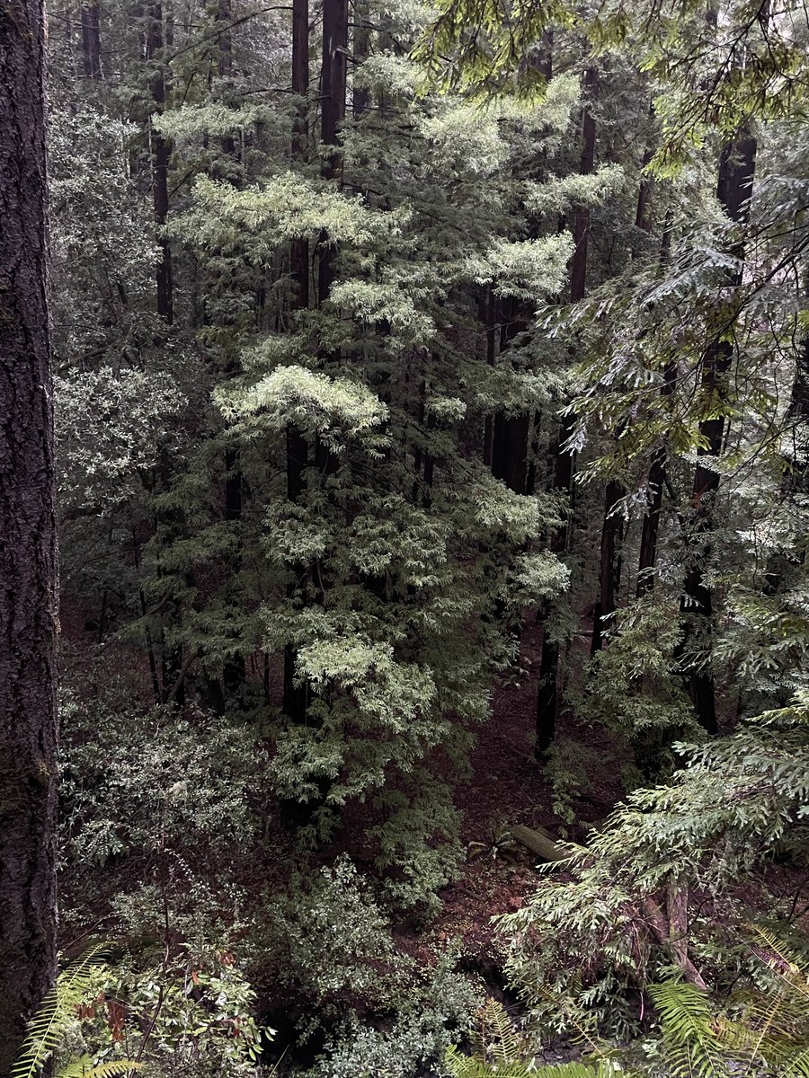 Good Works tweet media