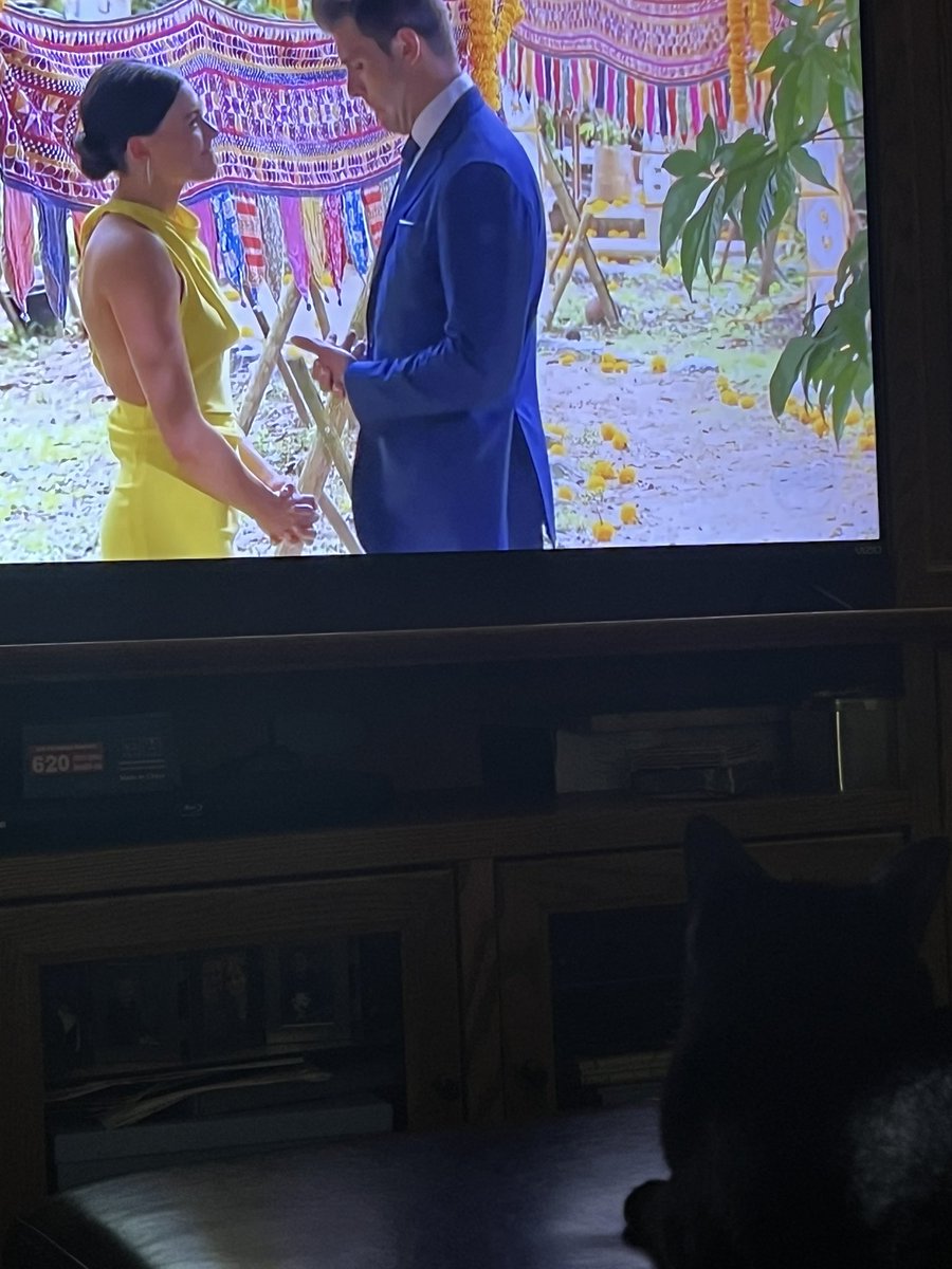 MSwanson1813's tweet photo. Even my cat can’t take her eyes away from this trainwreak! #bachelorfinale https://t.co/JnpUoCnL5f