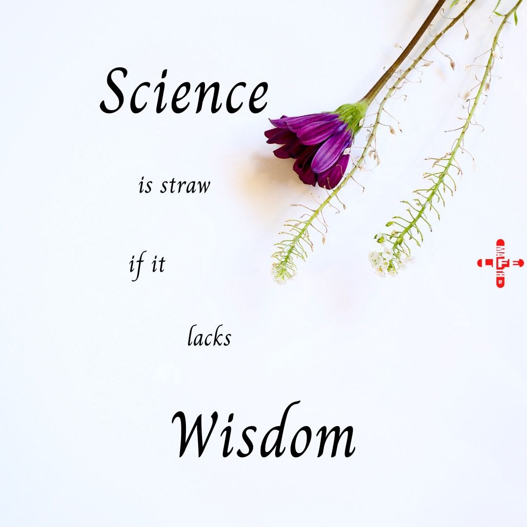 JemieAugustin's tweet image. #mathoflife #mathofmylife #life #wisdom #philosophy