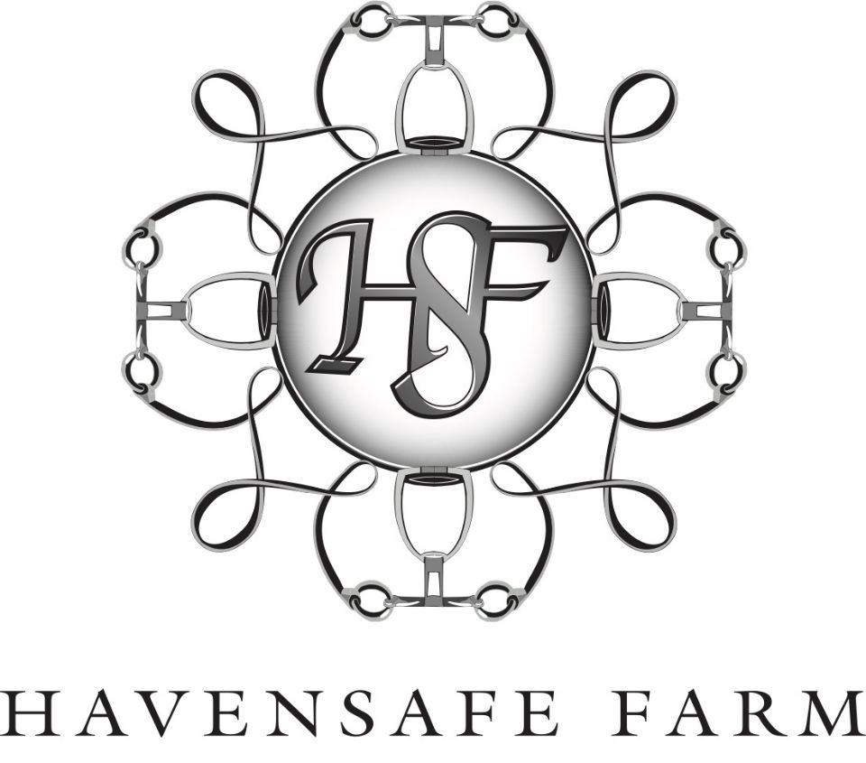 Omaha Equestrian Foundation has named Havensafe Farm as the presenting sponsor of the FEI Dressage World Cup™ Final 2023! See U.S. riders Steffen Peters, Alice Tarjan, and Anna Buffini strut down centerline at the CHI Health Center Omaha!
Tickets 👉 bit.ly/3vQDEGb
