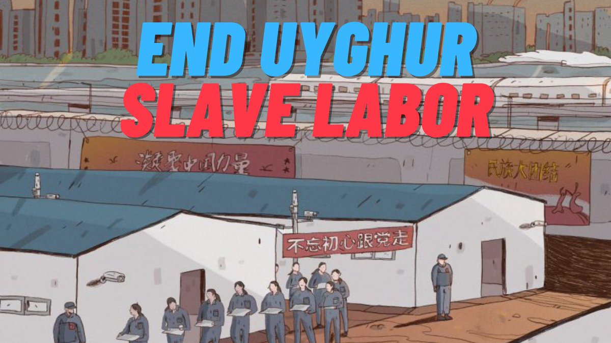 Uyghur_Oghly's tweet photo. @UNGeneva @antonioguterres #StopUyghurGenocide

#EndSlaveLabor https://t.co/wQoWHSz6hf