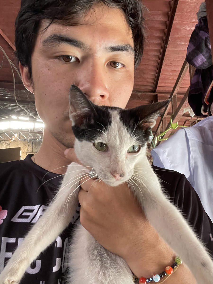 your last selfie is who you are on the outside and your last meme is who you are on the inside