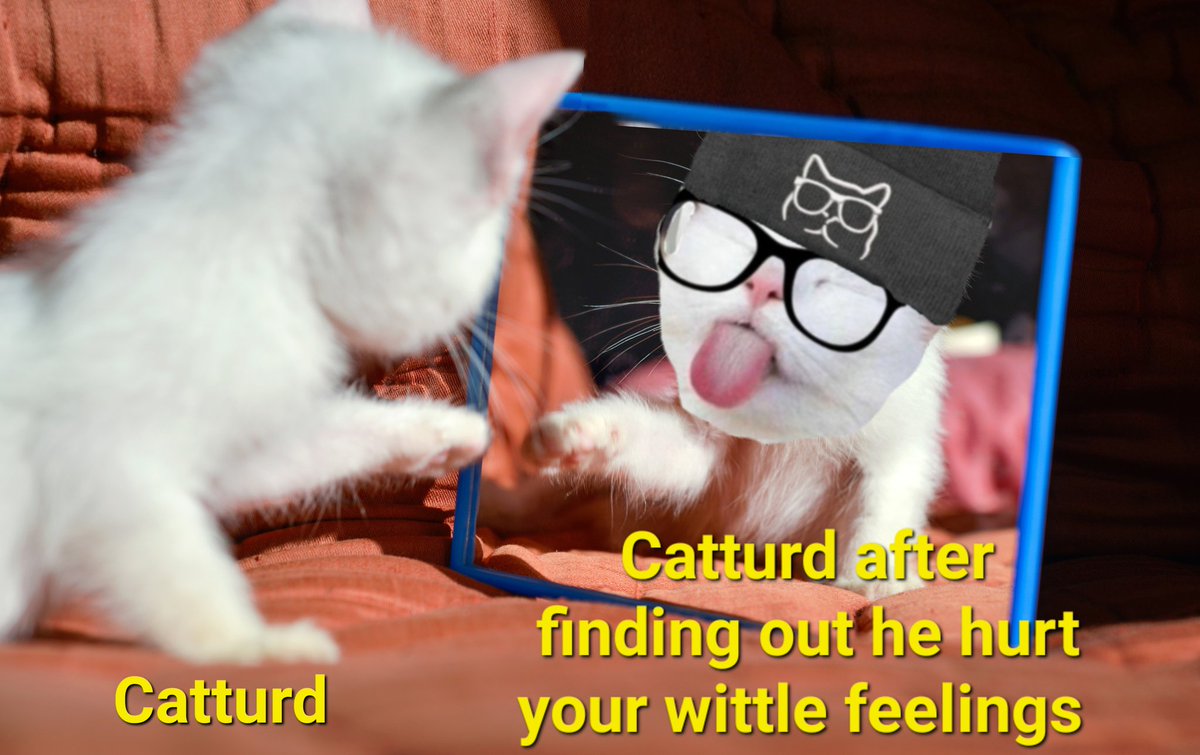 jackie1321_67's tweet photo. @catturd2 Keep it up Catturd. #TruthTurd ๐ฅ๐ฅ๐ https://t.co/AvN1AMmNCh