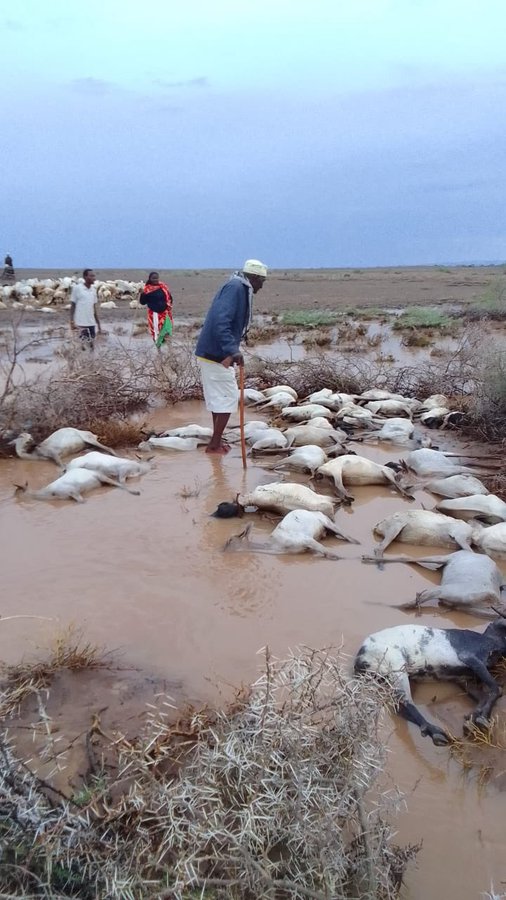 onjolo_kenya's tweet photo. Climate change is not a distant threat, it's happening now in northern Kenya. The increased flooding is causing devastating impacts on communities, especially the most vulnerable. It's time for us to take action and address this crisis. https://t.co/vV2dphU91Q