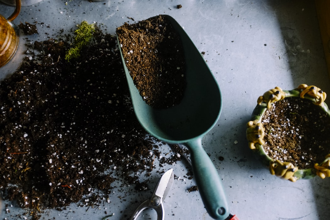 DLifeWellness's tweet photo. With a little planning a postage stamp garden can provide enough for seasonal meals with extra for canning and preserving. https://t.co/8hUGSFFrMM https://t.co/YTdnD9xKjE
