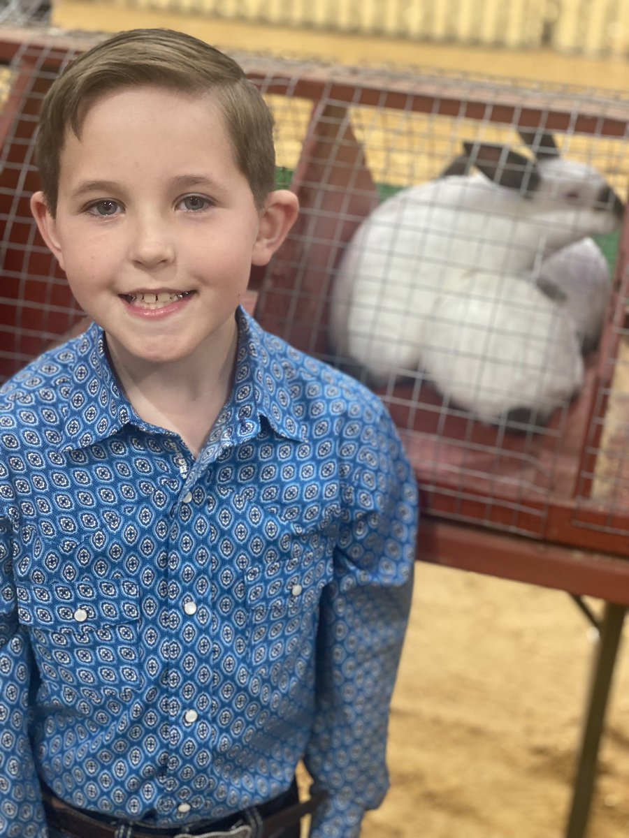 kateauthier's tweet photo. Super proud of my boys today! Anderson got Reserve Grand Champion and Brooks made the sale in market rabbits at the Ellis County Livestock Show! #proudmom @WaxahachieISD @WilemonSTEAM #wilemonsteam https://t.co/Ir32wLa3gb