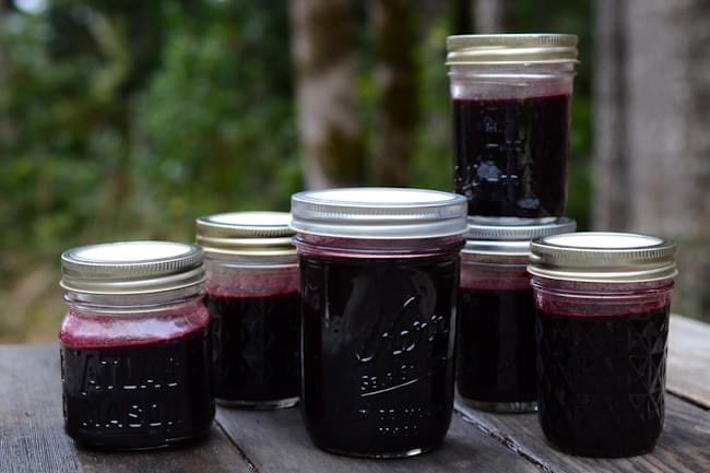 GAFEE_OH's tweet photo. Learn how to make your own homemade Elderberry Syrup in this FREE article:
https://t.co/k6YziC1FGm
Strengthen your immune system and help speed recovery from coughs and colds!
#gafee #education #holistichealth #energymedicine #freearticle #elderberrysyrup #diyrecipe https://t.co/ZnqmzB6mdE