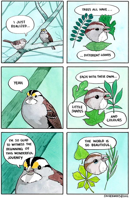 (If webcomics count as "memes"...) False knees comic with two white-throated sparrows. Sparrow 1 (immature? Without yellow lores) says "I just realized... Trees all have... ...different leaves". Sparrow 2 (with adult plumage): "Yeah" Sparrow 1: "Each with their own... Little shapes and colors" Sparrow 2: "I'm so glad to witness the beginning of this wonderful journey" Sparrow 1: "The world is so beautiful".