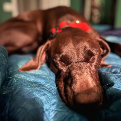 JustinEngel19's tweet photo. #NewProfilePic https://t.co/1jtAFDE3lS