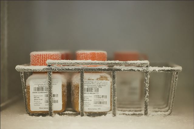 lifebloodau's tweet photo. We're thrilled to be contributing to an Australian-first trial led by @QIMRBerghofer that will see severely ill blood cancer patients able to access Lifeblood FMT (poo transplants).  Media release: https://t.co/t2u3LxMIWo https://t.co/c3h3eSxGTL