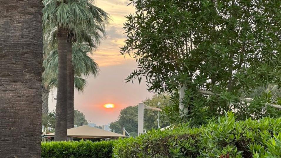 صباح  السعادة
لكل روح تخبئ حلماً يلامس أبواب السماء صباح الإستجابة
لكل أمنية وحلم وطموح يروى بالدعاء
صباح_الخير 🕊️💛