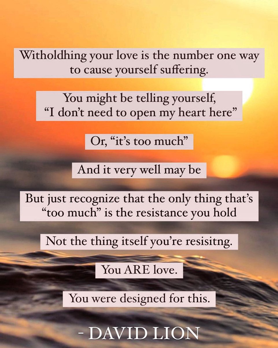 David Lion (@davidlion333) on Twitter photo 