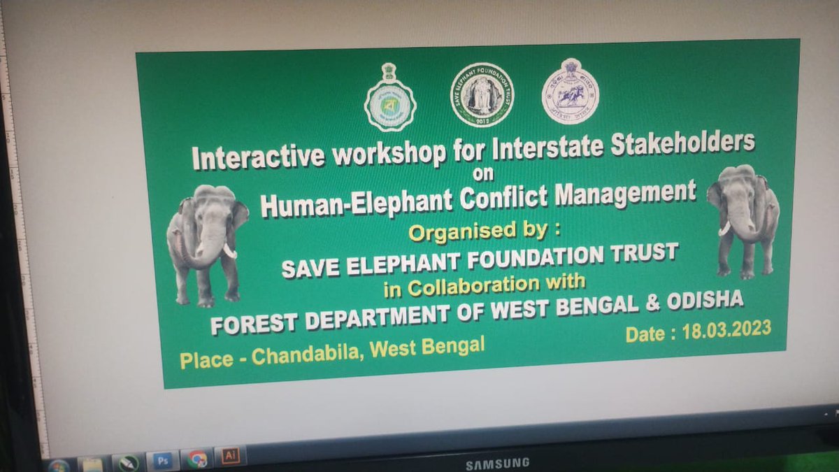 SAVE ELEPHANT FOUNDATION TRUST tweet media