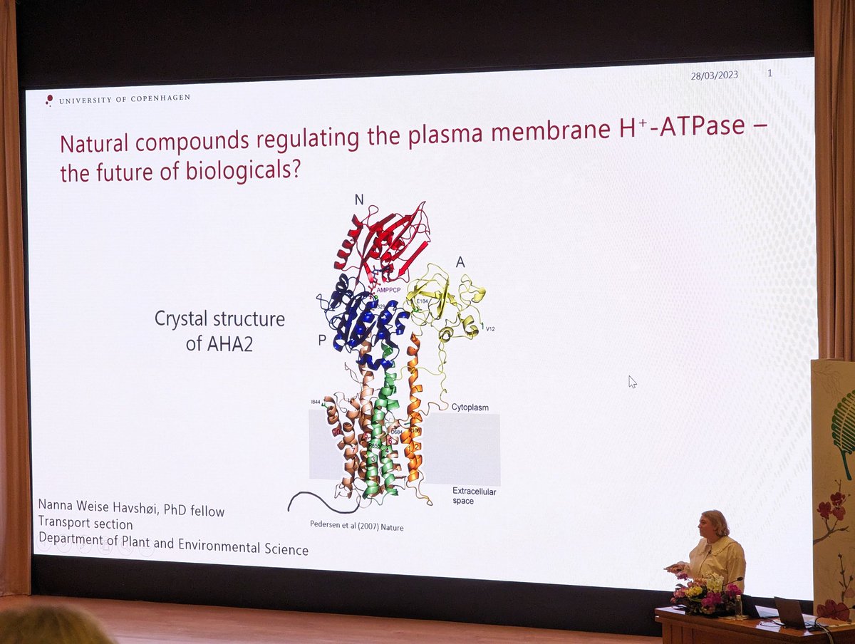 iwpmb2023's tweet photo. 5 min spot light
Natural compounds regulating the activity of the plasma membrane H+-ATPase https://t.co/JIudPiXr1q