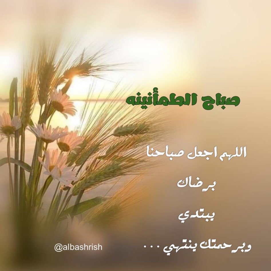 سبحان الله وبحمده tweet media