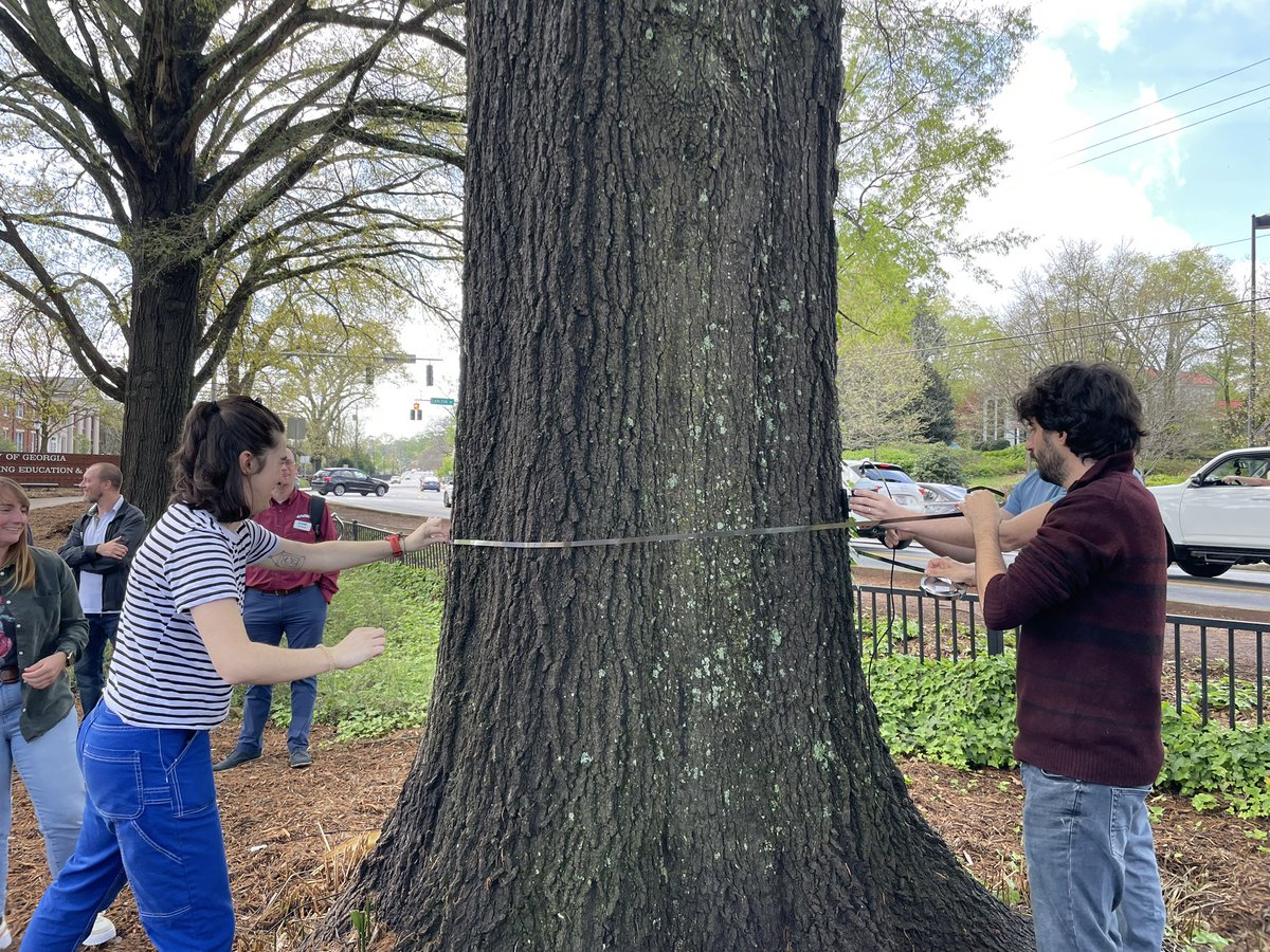 wmhammond's tweet photo. Having a great time at the inaugural meeting of the #UTEN (Urban Tree Ecophysiology Network) w/ @MarylouMantova, @gracepjohn, & the #PhysFam! Excited to discuss research priorities from Gainesville 🐊 to the globe 🌍 tomorrow! A huge thanks to @yakir_pr & @TreePhysDJ for hosting! https://t.co/BgNPEIwH29