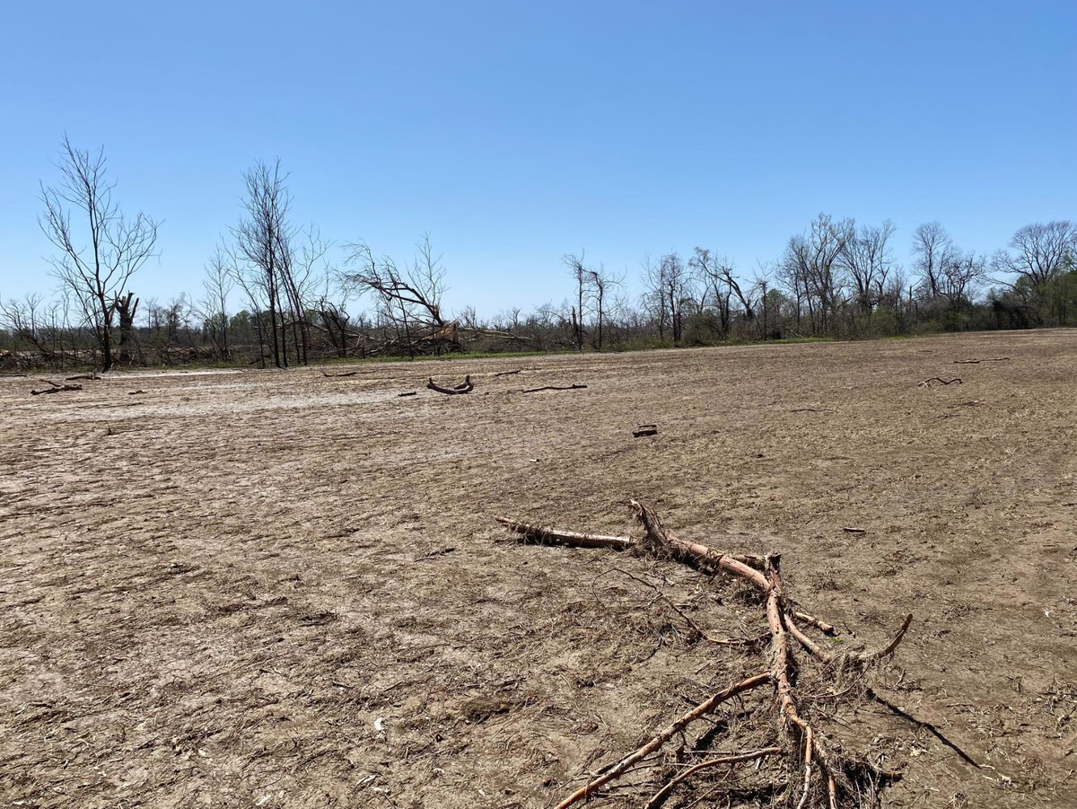 Weather Track US on Twitter "Southeast of Anguilla, MS, major tree