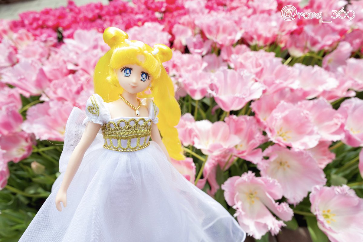 rora_369's tweet photo. セレニティの庭っぽいなぁと思いながら撮ってます!
チューリップが美しいのなんの🌷
ドールってどうポーズとったらいいのか分からない🥲
セレニティは立ってるだけで美しいからいいか!(笑)
ドールオーナーさんの写真とか生きてるみたいで素晴らしいよね!
#styledoll #セーラームーン #セレニティ https://t.co/eNjdE0Z8e9