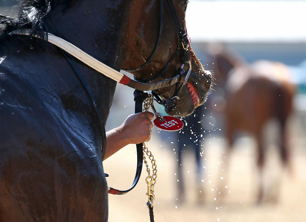 HISA's Anti-Doping And Medication Control Panel Members Revealed thoroughbreddailynews.com/hisas-anti-dop…