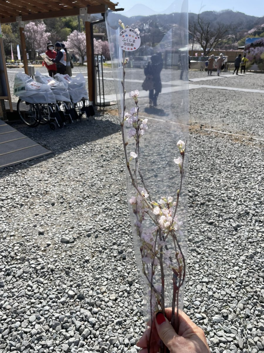 ふくしま花回廊
ふくしまの桃源郷
『花見山』
何回訪れてもいいですね。