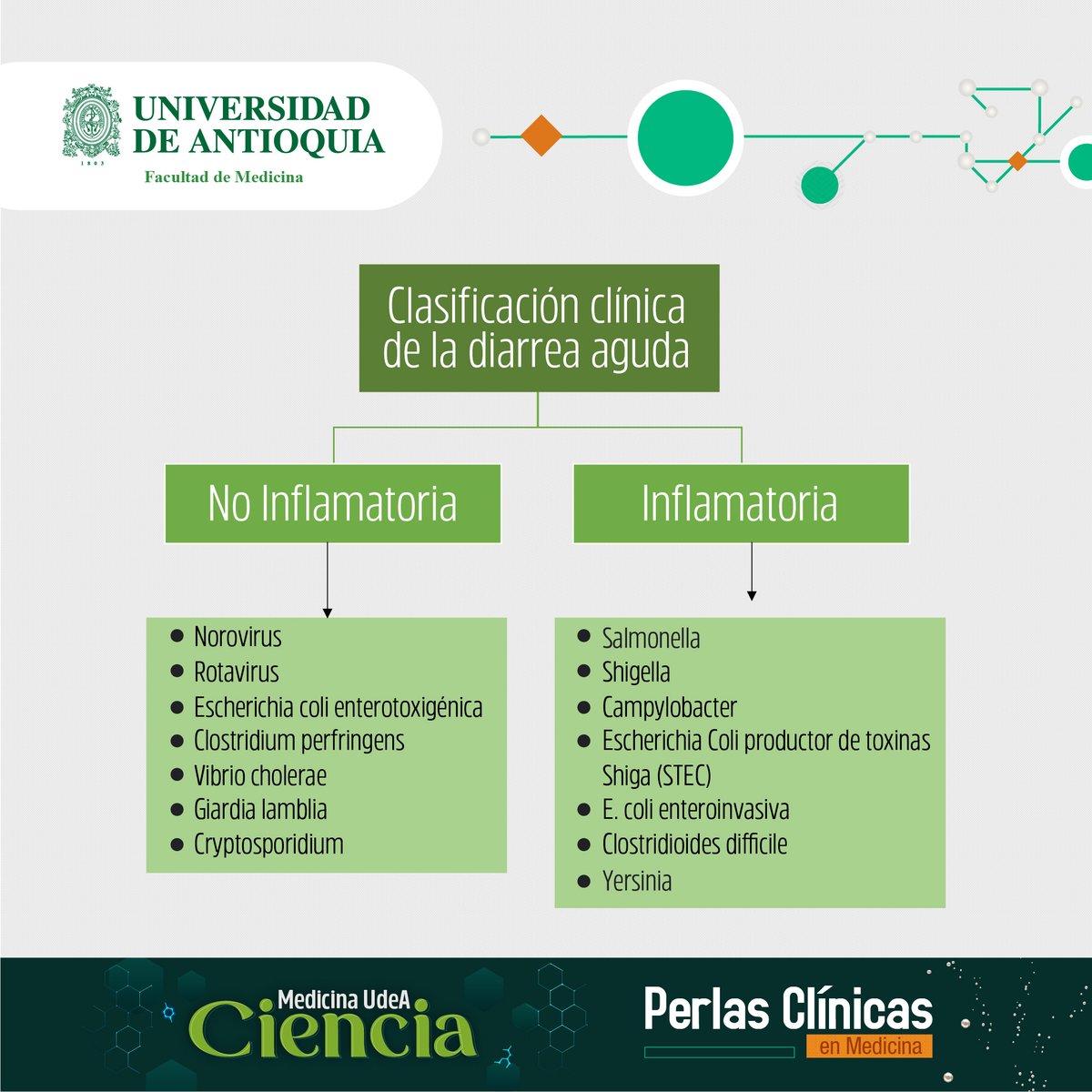 #PerlasClínicasUdeA | EDA

La enfermedad diarreica aguda es una condición común que requiere su comprensión y dominio tanto en la clínica como en su etiología. 

#disentería #infeccionesbacterianas #infeccionesintestinales #diarrea