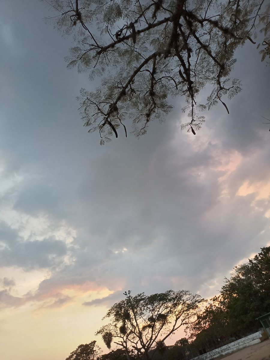than_rj's tweet photo. Ayer mi novio y yo celebramos nuestro segundo aniversario con un picnic muy bonito; escuchando el nuevo álbum de Lana y disfrutando el atardecer. Te amo inmensamente mi amor gracias por la vida mas bonita ♥️ https://t.co/ONkTTFNxK4