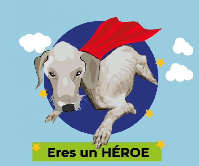 revistaPETmi's tweet photo. Gasparin es el nombre que le dieron al perrito que vivía en una casa de maltrato animal en Guatemala. Esta casa se hacia pasar por un “albergue de mascotas”, pero la realidad detras de las puertas era otra .. https://t.co/G3f6ft8xar