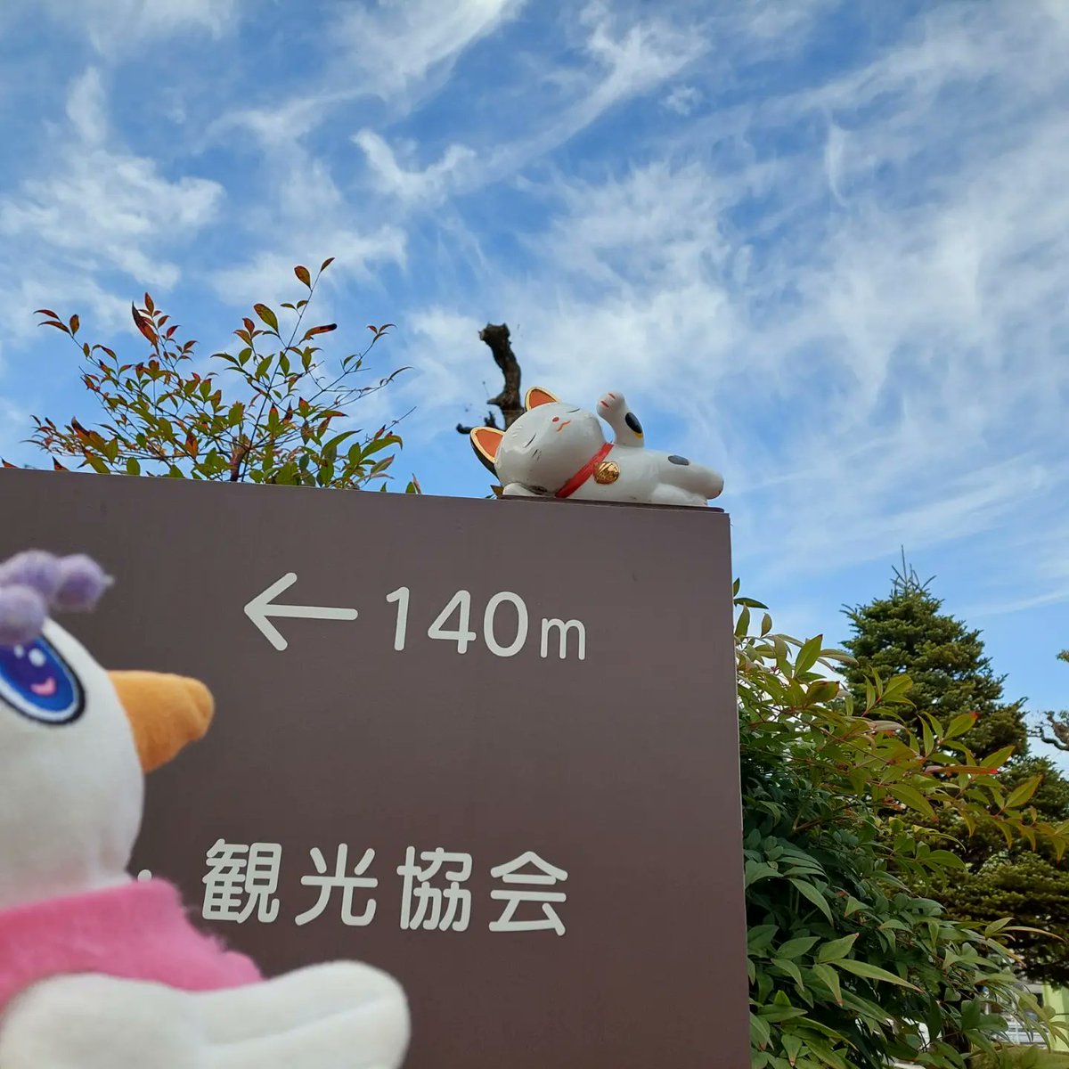 hittyhouse's tweet photo. 招き猫いっぱい😺😺

#たましいの小鳥 #ぬい撮り #招き猫 https://t.co/wvjicMBPGs
