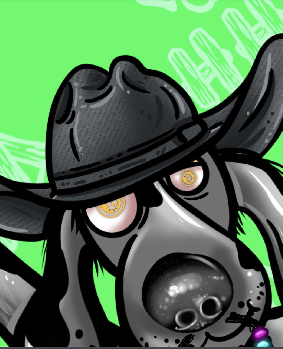 tickfields's tweet photo. Bitcoin’s got the world by the coin purse &amp; the #Tickfields are all eyes! Set your sites on #animalresuce! together we’ll give #hopeforhounds! Get your OG #HHD today at https://t.co/Z4UG562l9o &amp; get your @Tickfield for gas only! @phatmackin1 @SisterBC420 @JHound_dog #501c3 https://t.co/nl3OV8SAeK
