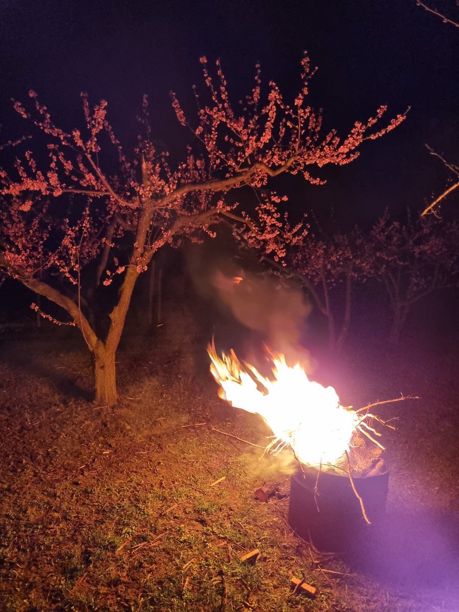 🔥🥶 Lutte en cours... -2°C cette nuit. On fait le max pour sauver nos récoltes !! #ceuxquifontlesfruits