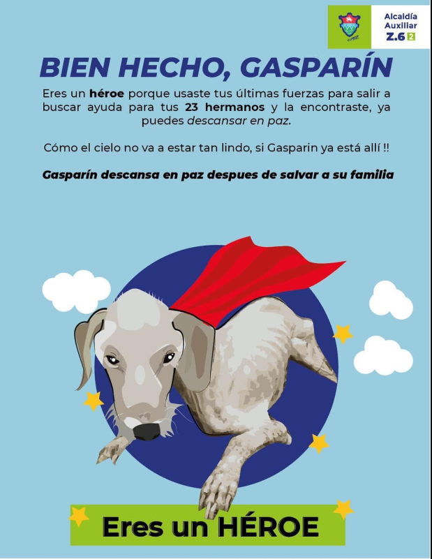 revistaPETmi's tweet photo. Sin embargo, su heroico esfuerzo por escapar y guiar a los rescatistas a la casa donde estaba siendo maltratado, fue lo que llevó a la liberación de los demás animales que estaban siendo maltratados. 😭 https://t.co/ps8g16NtgW