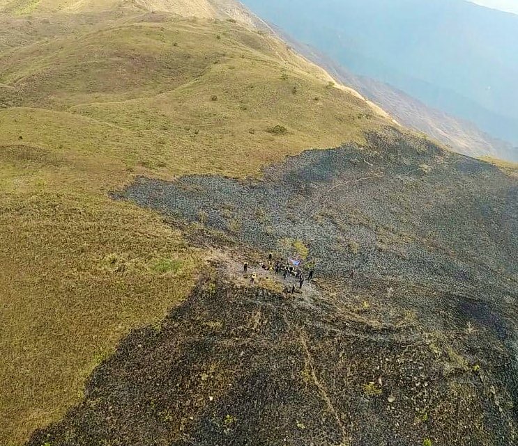 Ciudadmcyofic's tweet photo. La 2da y 3era avanzada del día domingo fue conformada por 09 Guardaparques,  02 Voluntario de Henri Pittier, 04 Bombero  De Aragua  y 03 Bomberos Forestales lo mismo fueron insertado  por el sub- sector  Serrania las Delicias ( Hotel Maracay)

 #NiCorrupciónNiGuarimbas https://t.co/DyRHbeM2b6