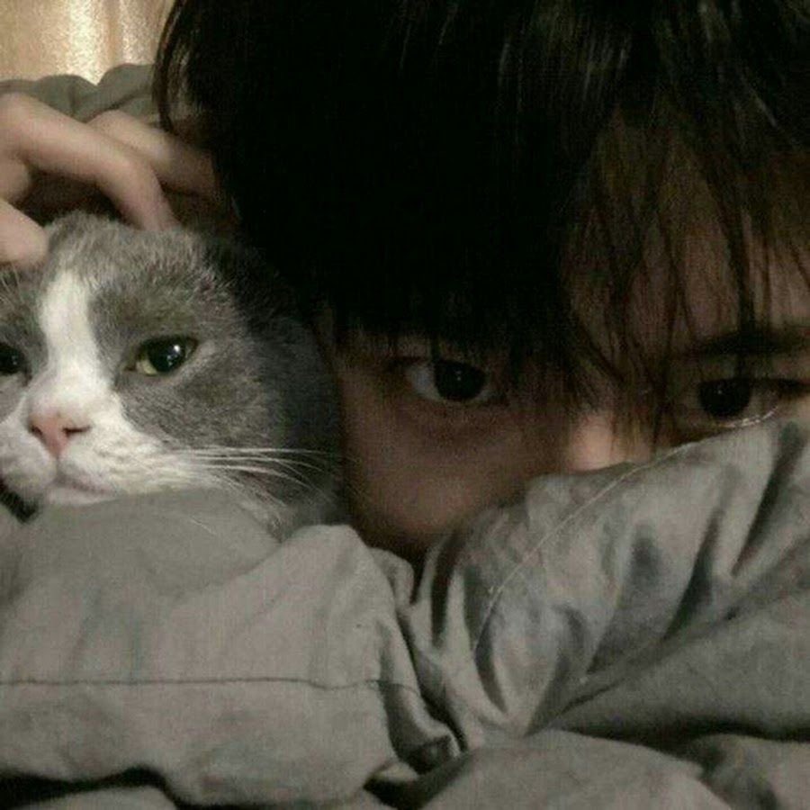 CXZPERWCC's tweet photo. วะนันนีั้โดเนะครัล https://t.co/eGxls3Ygub