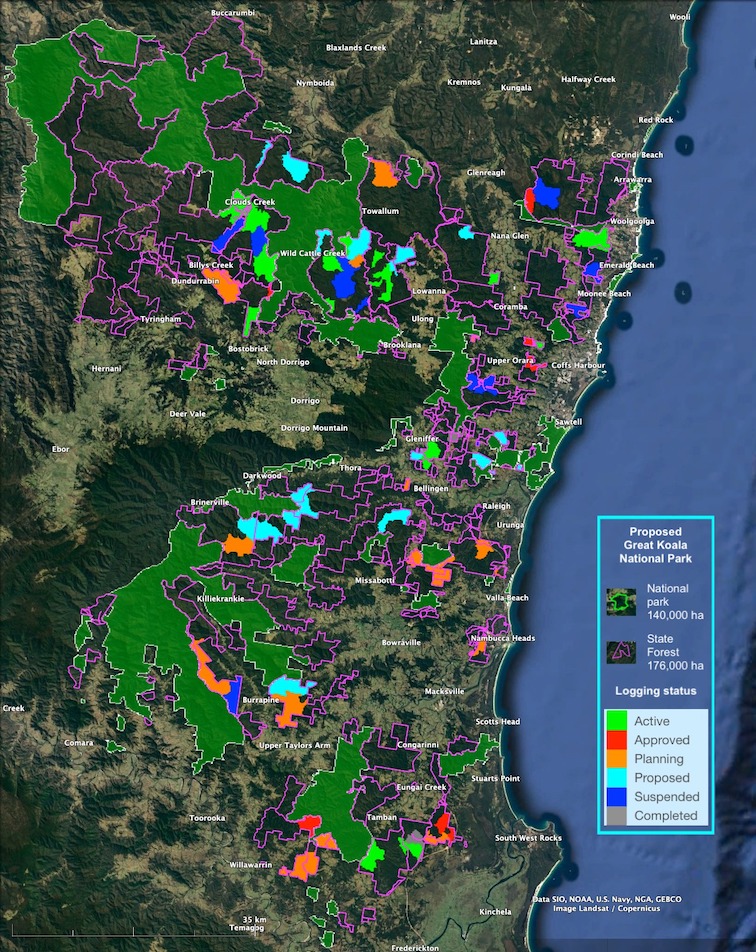 CloudsCreek's tweet photo. In 2023 >4,000 hectares within the #GKNP is scheduled for #logging. Includes 518 records of #Koalas and 1,333 ha that form Koala Hubs that were identified by the NSW OEH in 2017 for protection as known resident Koala populations of outstanding importance.
#LoggingMoratoriumNow https://t.co/6qlL0CBlzk