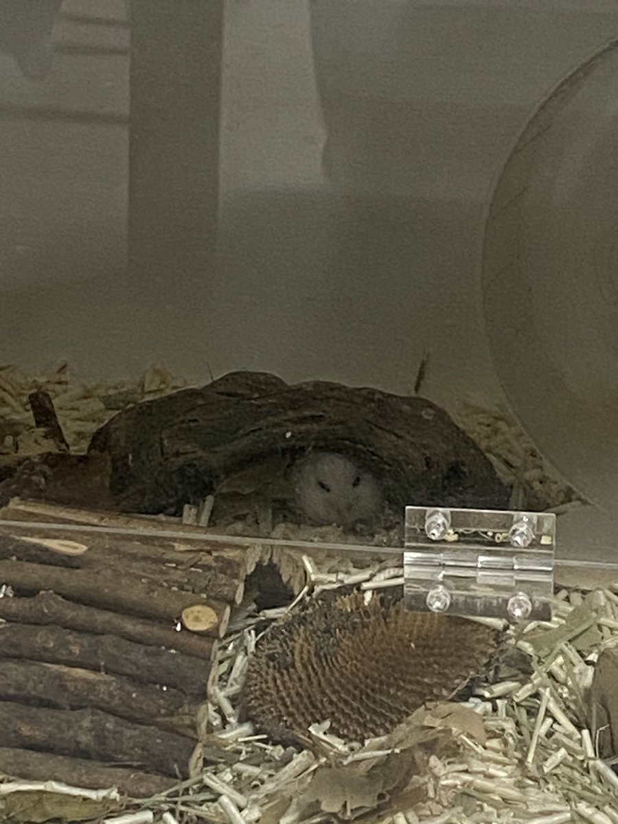 넘 바빠서 업로드가 뜸하네요 ..
동그랗게 잘 지내고 잇습니다 😊ㅎㅎ