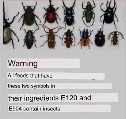 🪳Will you eat insects⁉️ 🦟
  🦗🐜🕷️🦟🪳🦗🐜🕷️🦟🪳🦗

⚠️Warning⚠️
All foods that have these two symbols in their ingredients -
  E120 and E904 -
  Contains insects‼️
  🦗🐜🕷️🦟🪳🦗🐜🕷️🦟🪳

  😳🤯🤮

  🔆Health is Wealth🔆