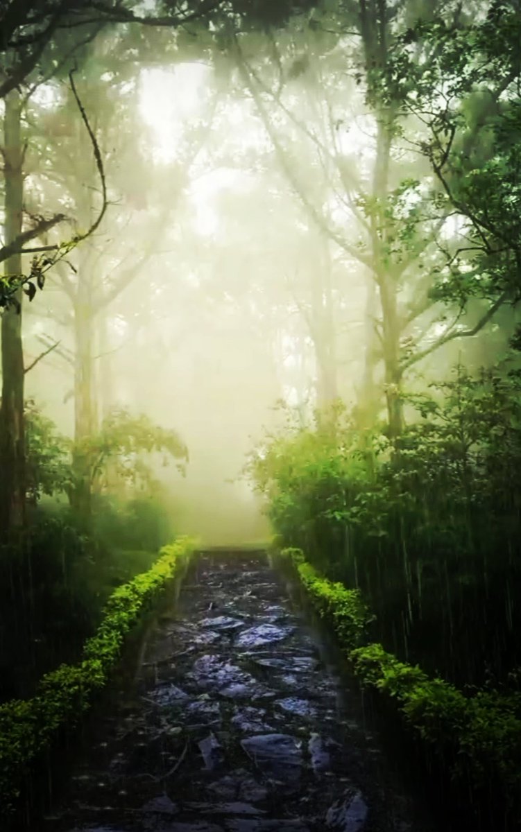 Natureblossm (@natureblossm) on Twitter photo 