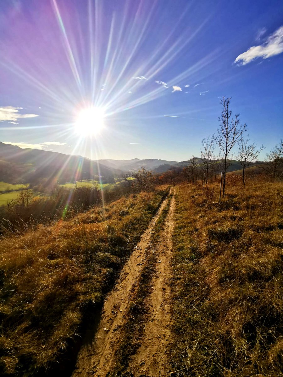 Filippo Menotti tweet media