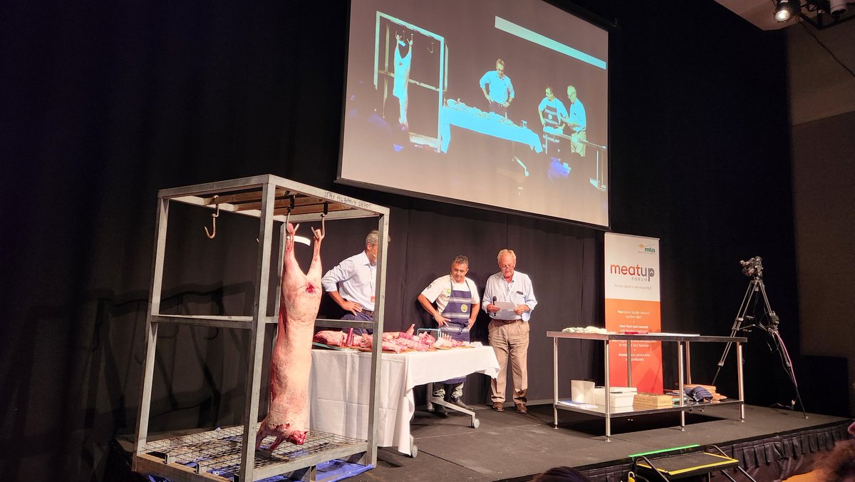 In WA learning about sheep cuts, where they go, and how to make them.