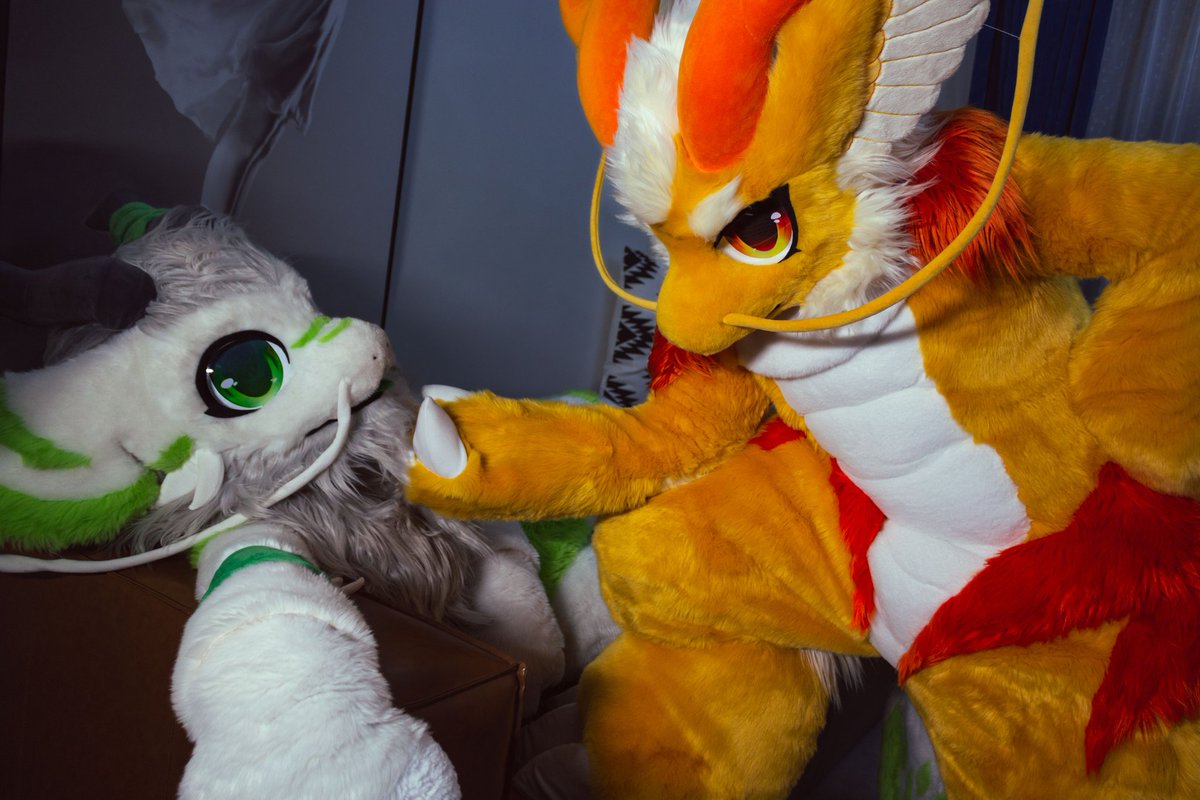 小可爱跟咱回家怎样？🐲✨

🐉:@NighrVern 
📷:@ATrzTN7oOW9Yv1k 
🪡:@_RYOKOwO @qian_xuan777 
#FursuitEveryday #fursuit #羽落晨曦