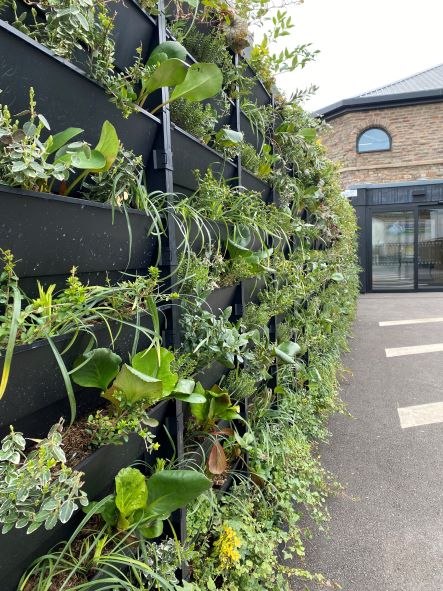 DigiFutures's tweet photo. Started the week with our new #biowalls sparkling in the sun. 🌞
All part of our @ResEngland funded #NetZero sustainable campus testbed project & will help researchers assess which species thrive and address air pollution in the inner city 🌿 https://t.co/0EGM6r847x