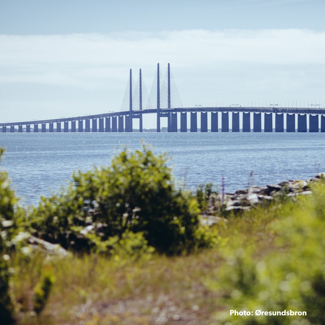 denmarkdotdk's tweet photo. The iconic Øresund Bridge not only unites Denmark and Sweden but also showcases Nordic innovation at its best! The bridge has its own solar panels &amp; more is being built this spring. The energy from solar panels will then cover half of the bridge's total electricity consumption🌿 https://t.co/sHfWR2EXpu