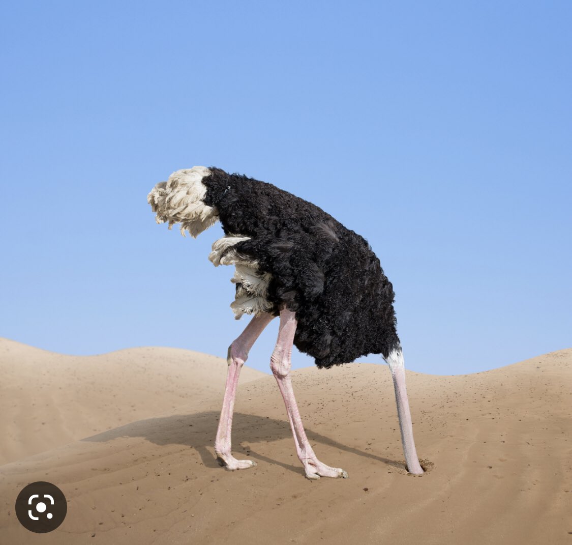 <a href="/Lennywoodard/">Lenny woodard</a> Interesting to note that after years of denial Australian FL has finally recognised the link between head trauma and the degenerative brain disease CTE in its official submission to a Senate inquiry.  Progress is being made