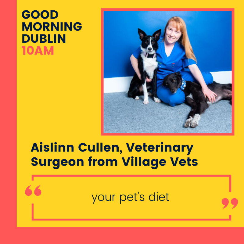 dublincityfm's tweet photo. Tune in to #GoodMorningDublin at 10am with:
- Denise McMorrow, Co-Chair of @DubLearningCity, about #DLCFestival2023
- Aislinn Cullen, Veterinary Surgeon from Village Vets
- Olga Tiernan, Producer of the documentary @notmybagfilm
#MyLearningCity #petcare #climatecrisis