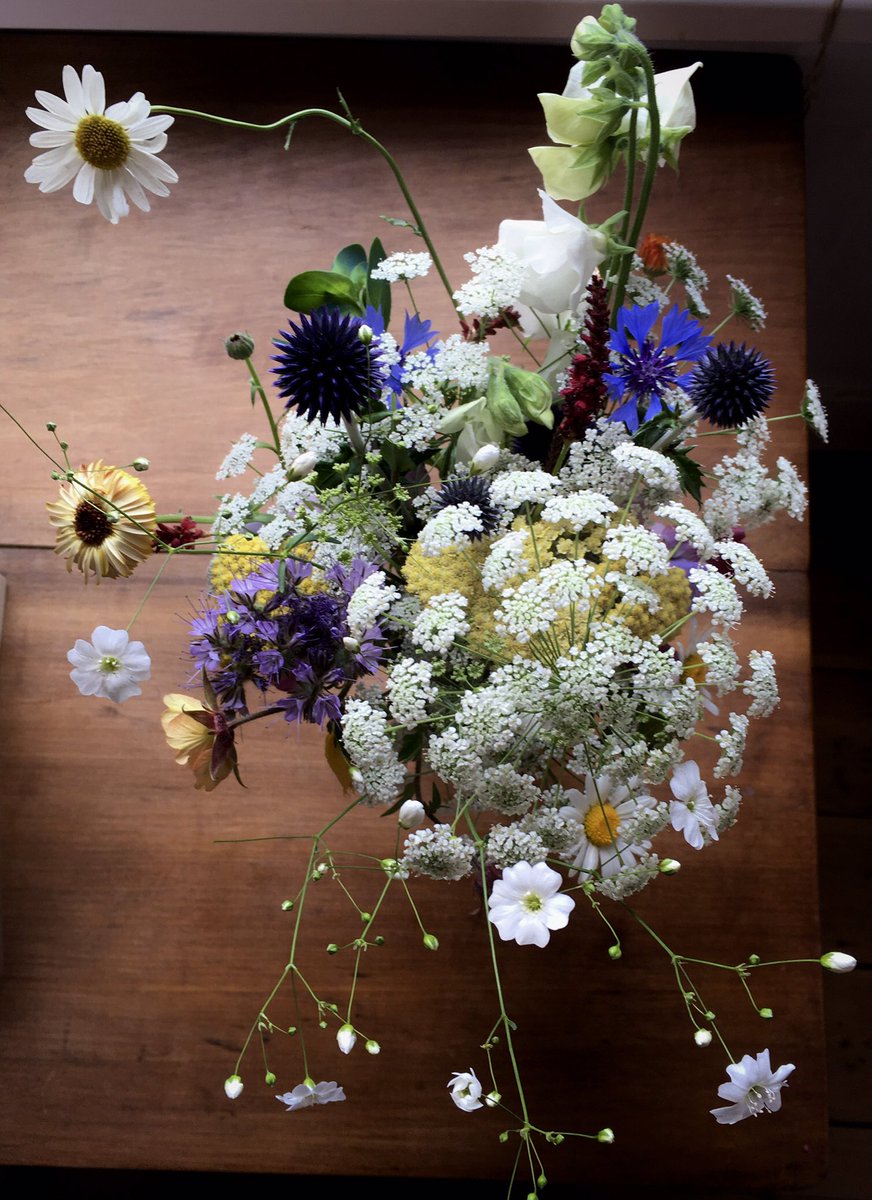 Morning #Penge - fancy home grown bouquets over the summer? If you have a garden, patio, large window box, guerilla roadside verge - NOW is the time to sow. Cernthe, ammi, cornflowers, gypsophilia all by <a href="/higgledygarden/">Benjamin Ranyard</a>. For inspiration/mad obsession go to <a href="/CommonFarm1/">Georgie Newbery</a> #Spring