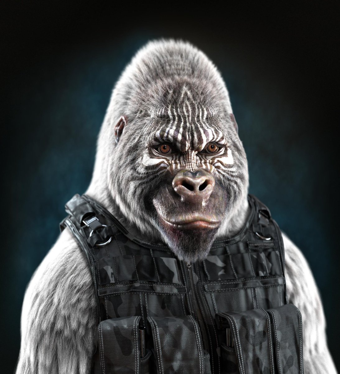 TheRoyalCubs's tweet photo. Morning Cubs and Mighty Gorillas! 🦁🦍

⏳️Private mint is still up till 3PM UTC!

Get your gorillas before the public mint! ✨️

https://t.co/xJFMjjsc6y

#SpreadTheRoar https://t.co/kgMBLSWWB5