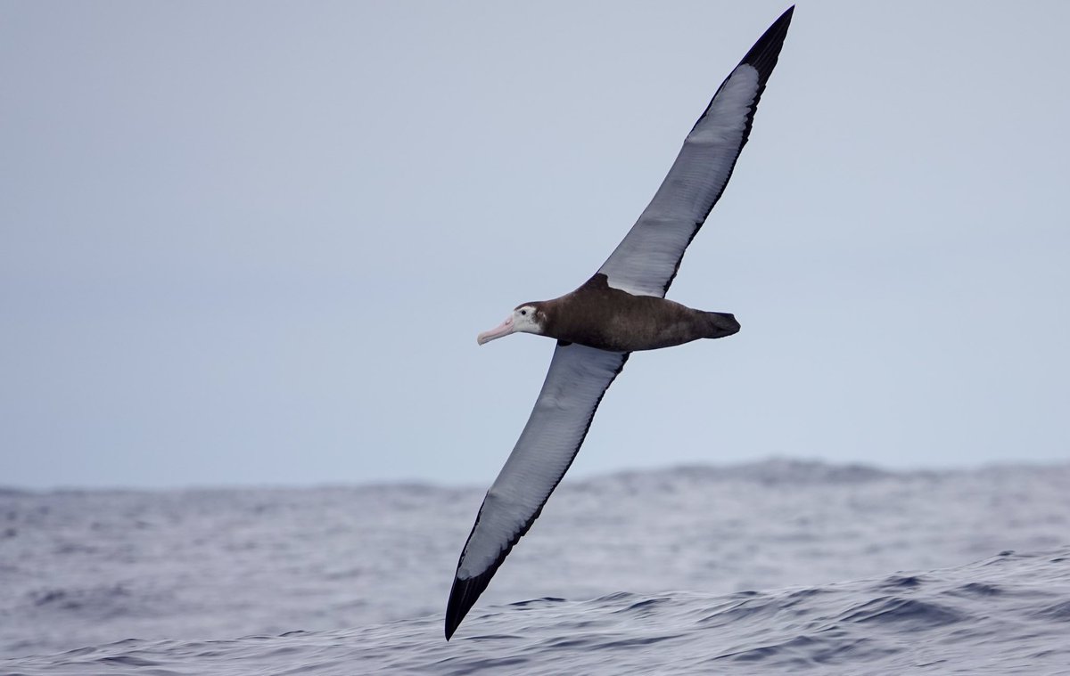 Daniel Weldon tweet media