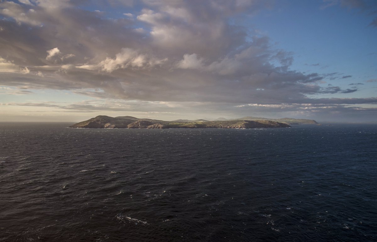 David Gange tweet media