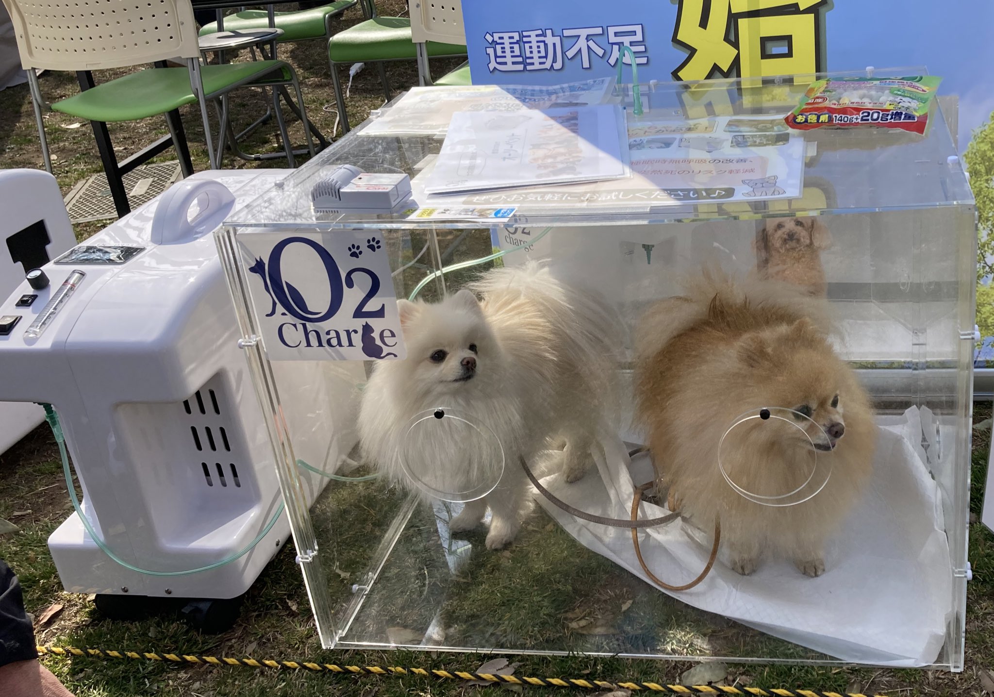 ペット用酸素室 O2チャージ　O2pet 酸素ケージ】O2ペット オーツーチャージ ペット用酸素室【最終価格】